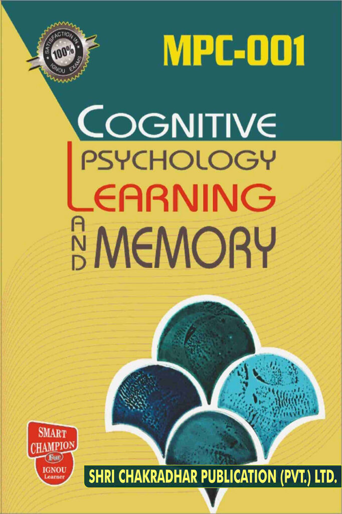 memory master social study 1