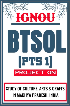 IGNOU-BTSOL-Project-PTS-1-Synopsis-Proposal-&-Project-Report-Dissertation-Sample-1