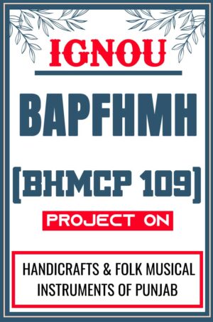 IGNOU-BAPFHMH-Project-BHMCP-109-Synopsis-Proposal-Project-Report-Dissertation-Sample-5