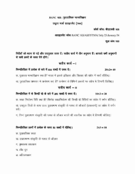 IGNOU BANC 103 Solved Assignment 2023-24 in Hindi - Image 2