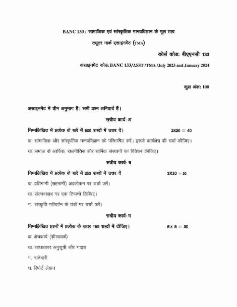 IGNOU BANC 133 Solved Assignment 2023-24 in Hindi - Image 2