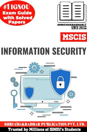 MSC Information Security Assignment (MSCIS)