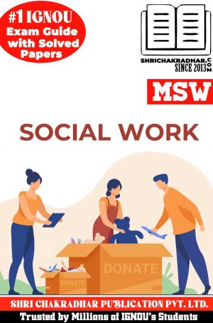 Master of Social Work Assignment (MSW)
