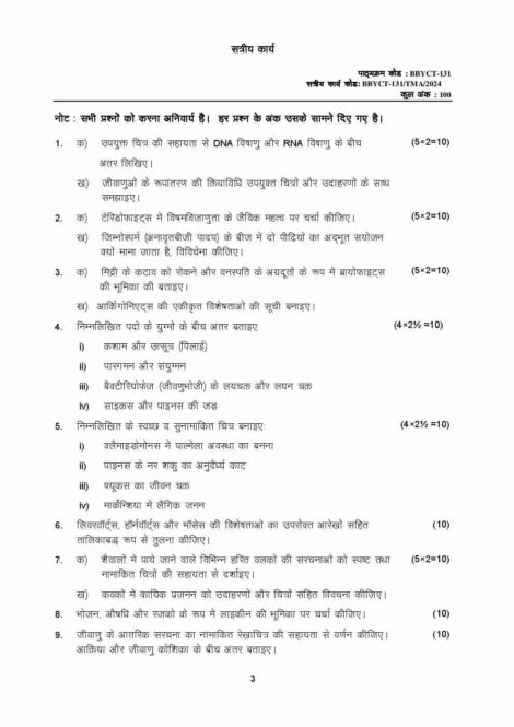 IGNOU BBYCT 131 Solved Assignment 2024 in Hindi - Image 2