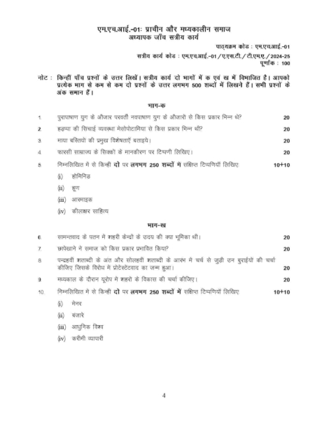 IGNOU MHI 1 Solved Assignment 2024-25 in Hindi - Image 2