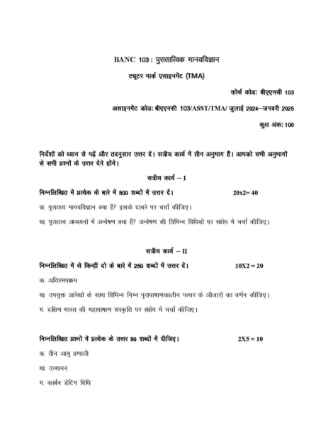 IGNOU BANC 103 Solved Assignment 2024-25 in Hindi - Image 2